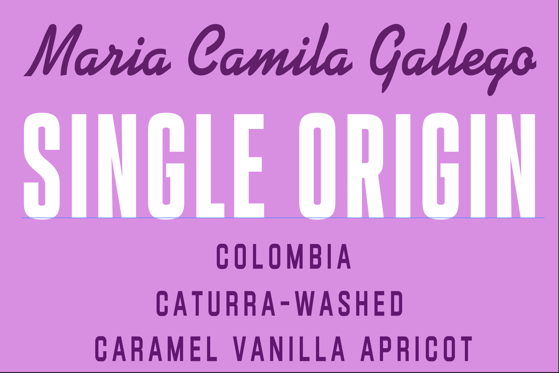 Maria Camila Gallego
