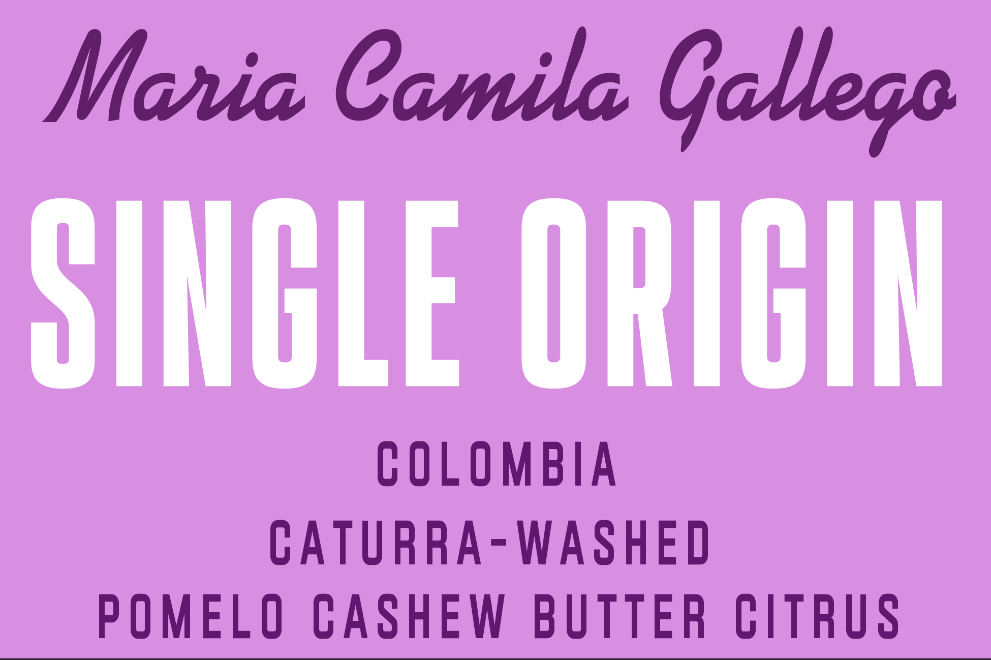 Maria Camila Gallego